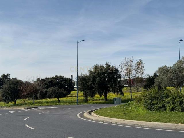 Quinta venda em Bairro do Barrão, Montijo