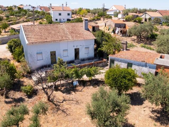 Quinta venda em Castelo Branco