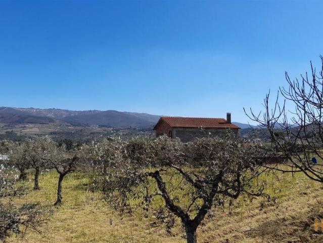 Quinta venda em Castelo Branco, Aldeia Nova Do Cabo