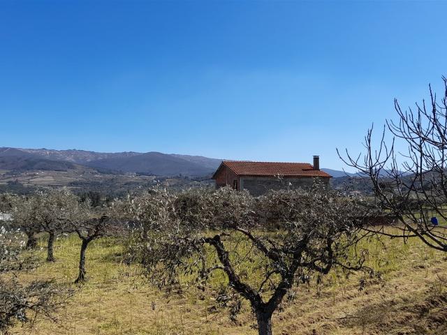 Vivenda venda em Castelo Branco, Aldeia Nova Do Cabo