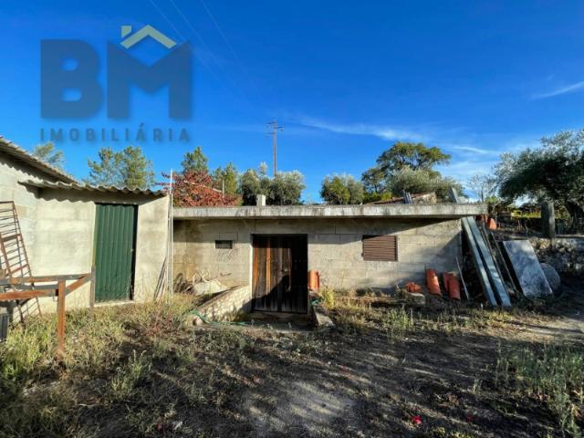 Quinta venda em Castelo Branco