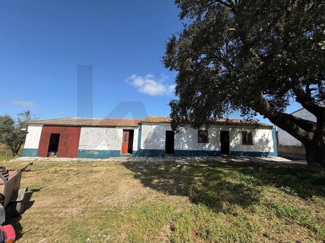 Quinta venda em Olhas, Ferreira Do Alentejo