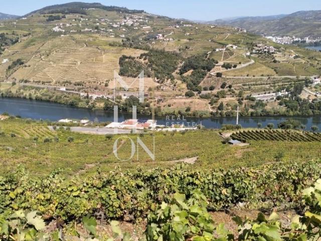 Terreno venda em Lamego, Viseu