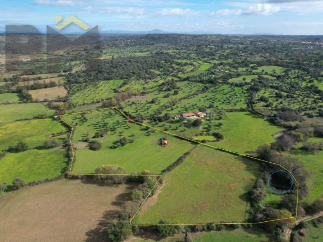 Quinta venda em Castelo Branco, Idanha-a-nova