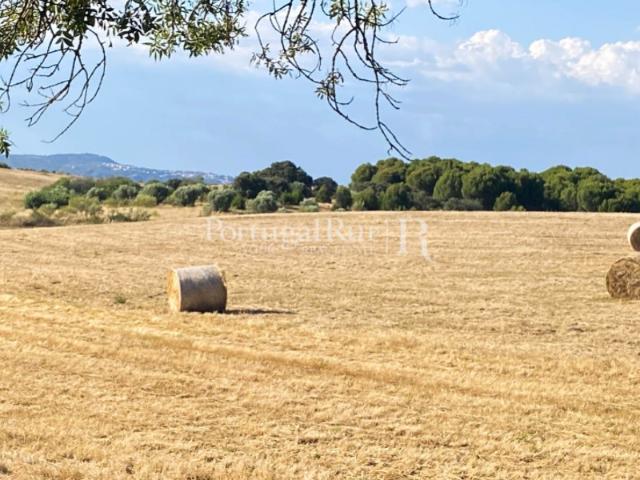 Quinta venda em Castelo Branco, Idanha-a-nova