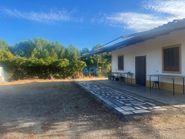 Quinta venda em Castelo Branco