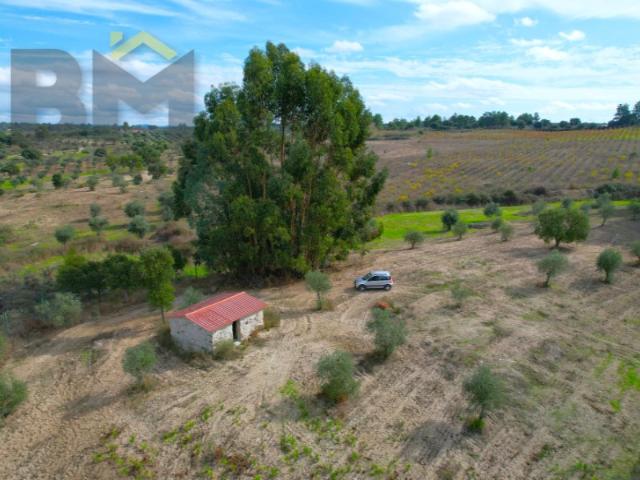Quinta venda em Castelo Branco, Idanha-a-nova