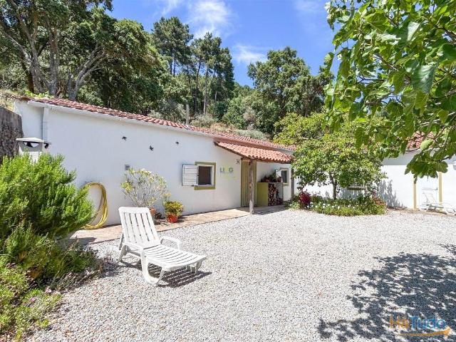 Quinta venda em Castelo Branco, Aldeia Nova Do Cabo