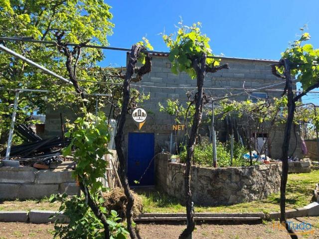Quinta venda em Castelo Branco