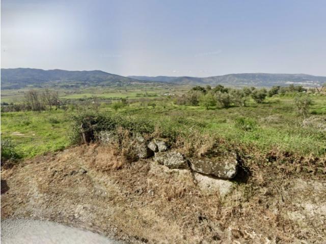 Terreno venda em Belmonte