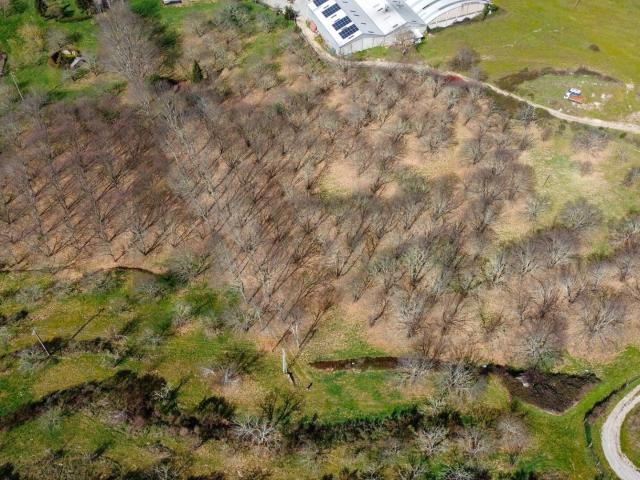 Terreno venda em Guarda