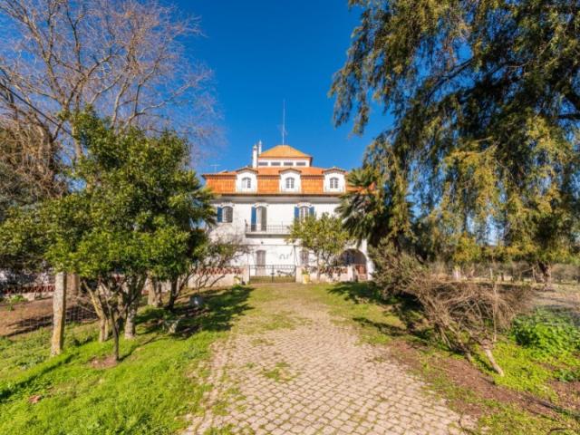 Quinta venda em São Mamede