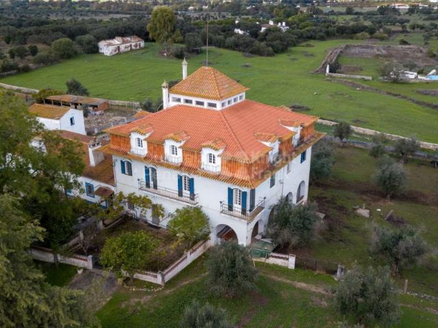 Quinta venda em São Mamede