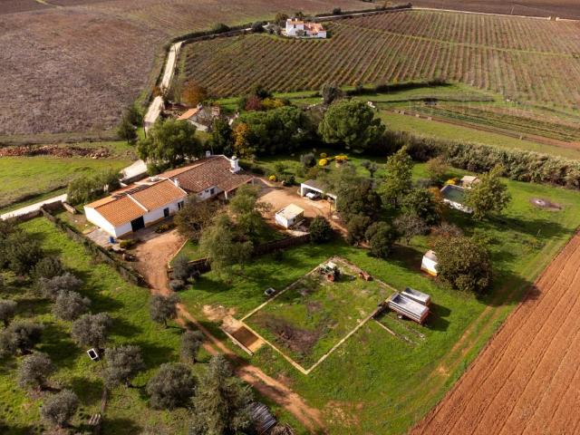 Vivenda venda em Borba (Matriz), Borba