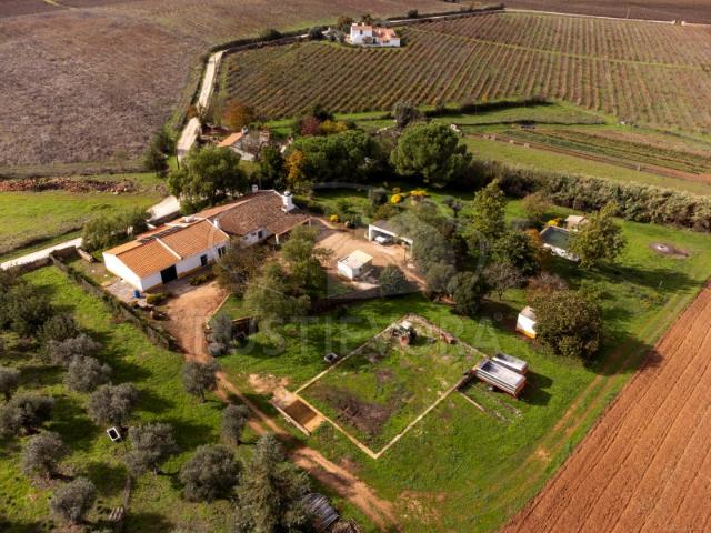 Quinta venda em Borba (Matriz), Borba