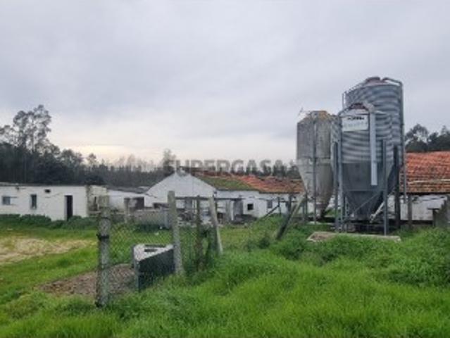 Casa venda em Leiria