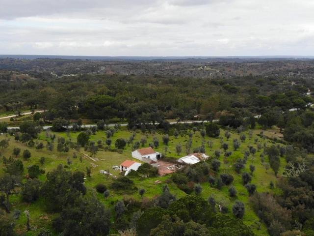 Vivenda venda em Ribeira das Vinhas, Ponte De Sor