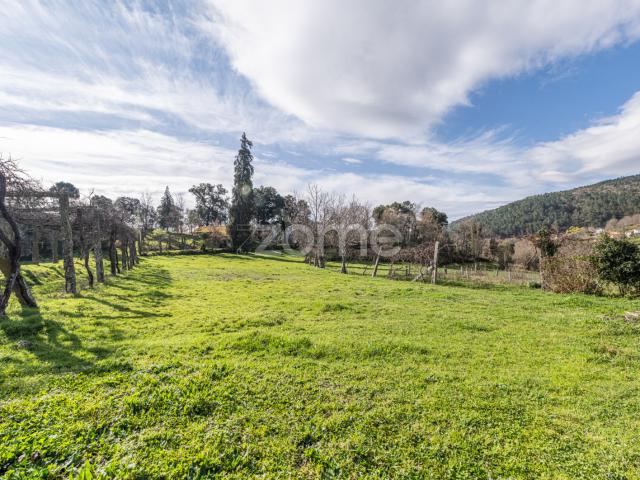 Quinta venda em Salvador, Vila Real