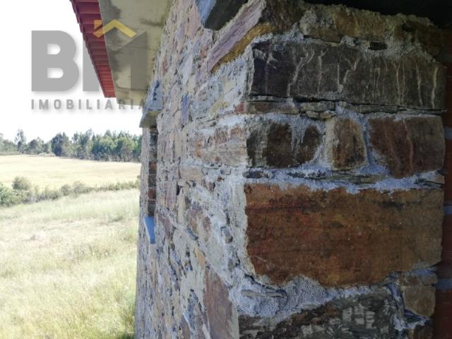 Quinta venda em Castelo Branco