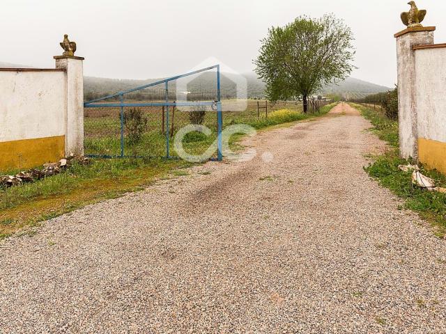 Quinta venda em Sousel, Portalegre