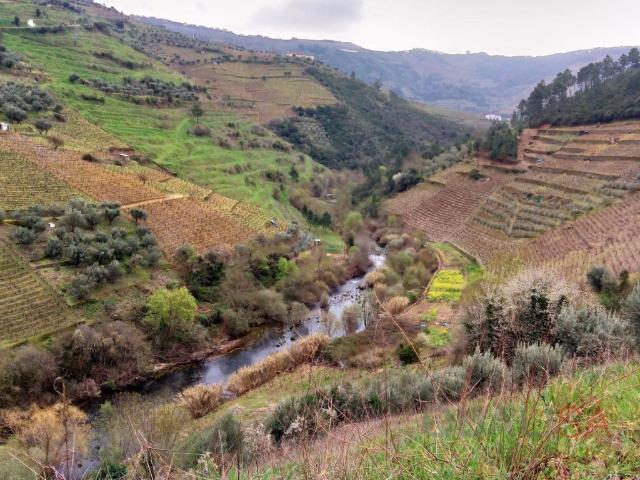 Vivenda venda em Vila Real