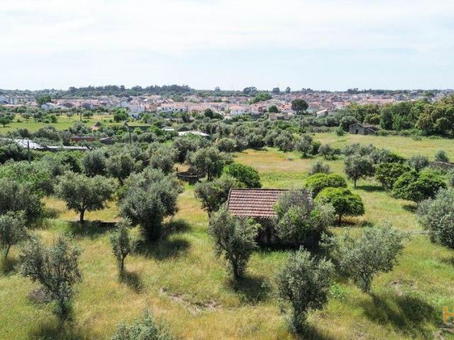 Quinta venda em Castelo Branco