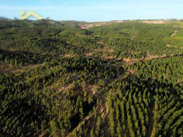 Terreno venda em Castelo Branco