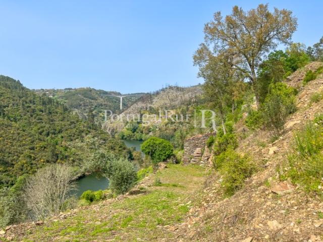 Quinta venda em Castelo Branco, Cumeada