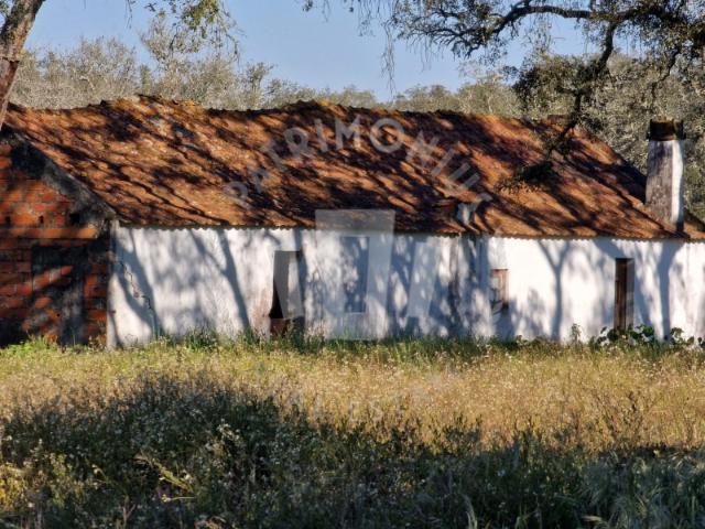 Quinta venda em Grândola, Setúbal