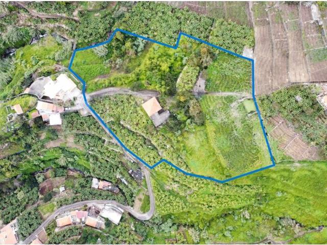 Quinta venda em Estreito de Câmara de Lobos, Câmara De Lobos
