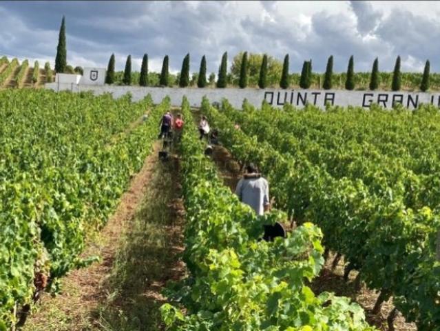 Terreno venda em Alijó, Vila Real