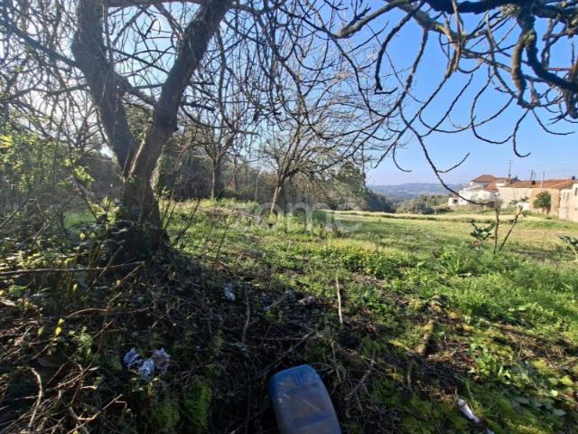 Quinta venda em Arganil, Pombeiro Da Beira