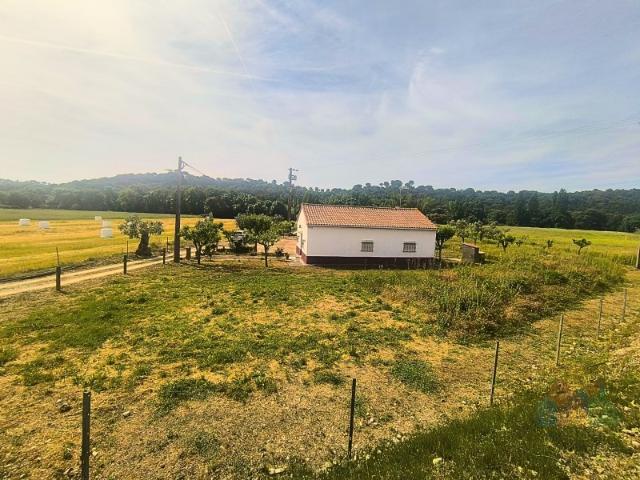 Quinta venda em Madalena e Beselga, Tomar