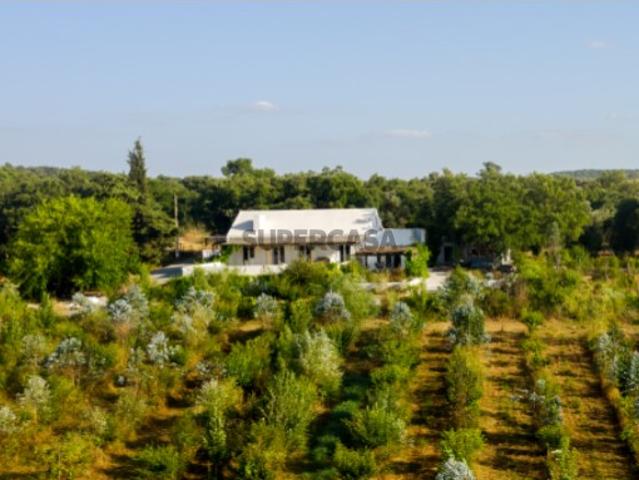 Casa venda em Montemor-o-novo, Évora
