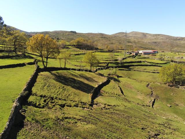 Casa venda em Espindo, Parada Do Bouro