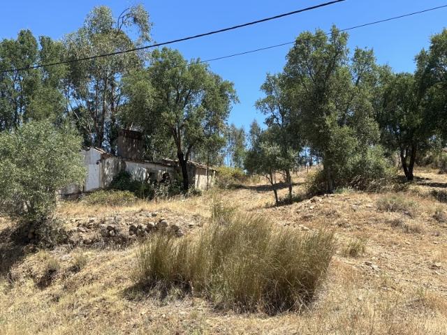 Quinta venda em Abrantes (São Vicente e São João) e Alferrarede, Abrantes