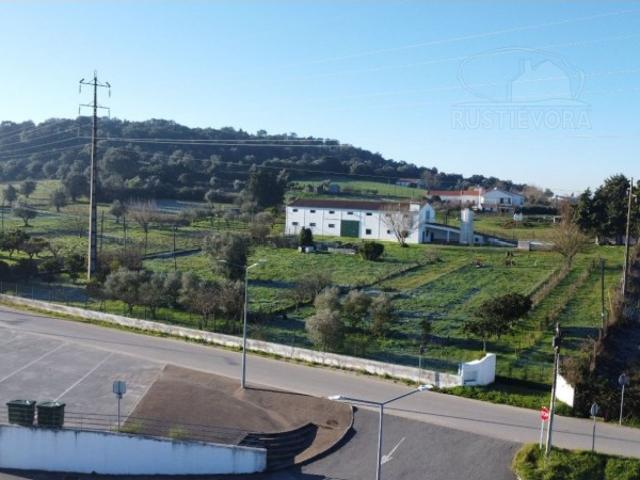 Quinta venda em Montemor-o-novo, Évora