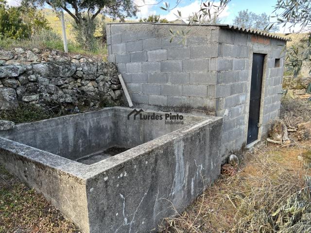 Casa venda em Castelo Branco
