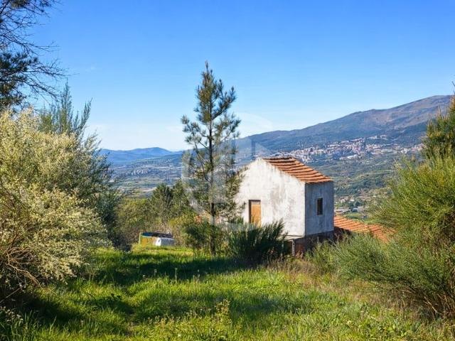 Quinta venda em Castelo Branco