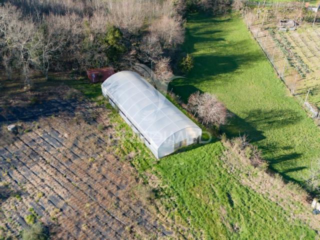 Quinta venda em Póvoa De Lanhoso, Braga