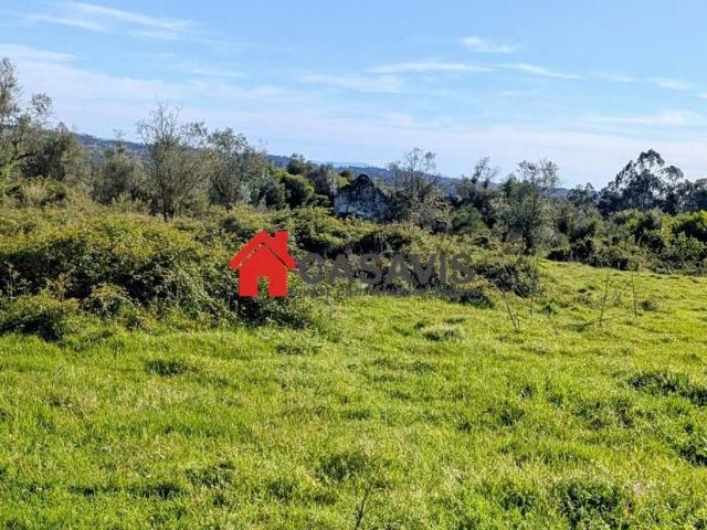 Quinta venda em Casal Mendo, Mourilhe