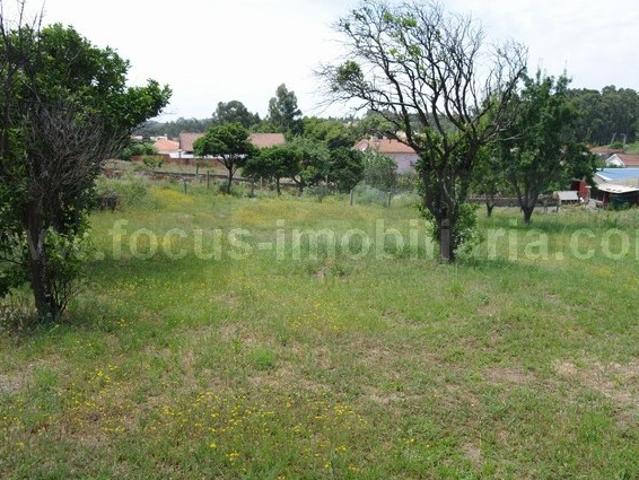 Quinta venda em Aveiro