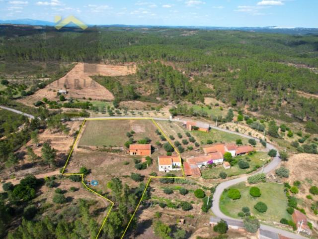 Quinta venda em Castelo Branco