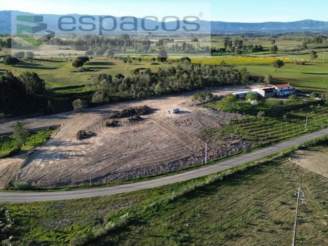 Quinta venda em Castelo Branco