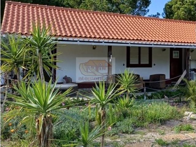 Quinta venda em Grândola, Setúbal
