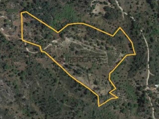 Terreno venda em Castelo Branco