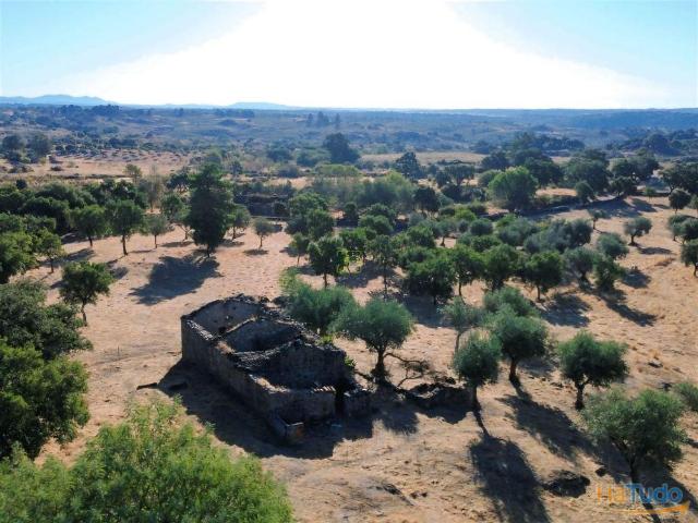 Quinta venda em Castelo Branco, Idanha-a-nova