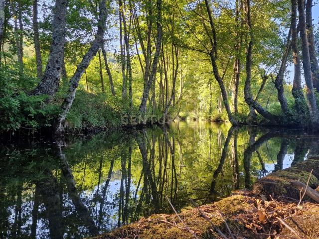 Quinta venda em Sátão, Viseu