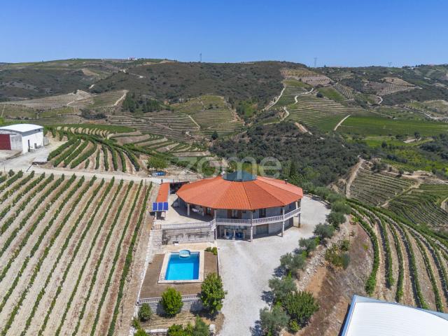 Quinta venda em Nagoselo Do Douro, Viseu