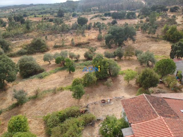 Quinta venda em Castelo Branco